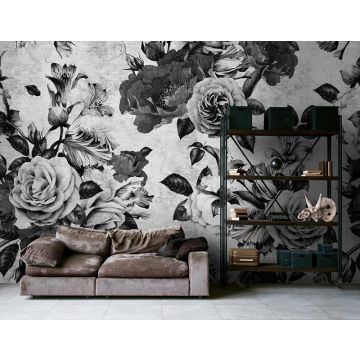 114152 Walls by Patel 2 Spanish Rose