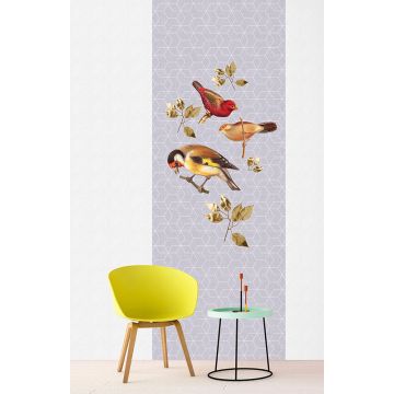114332 Walls by Patel 2 Brilliant Birds