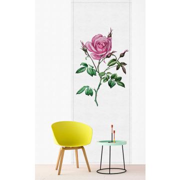 114457 Walls by Patel 2 Spring Panels