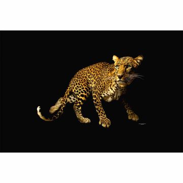 Digitaldruck-Tapete Leopard livingwalls (1034238)