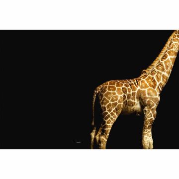 Digitaldruck-Tapete Giraffe livingwalls (1034244)