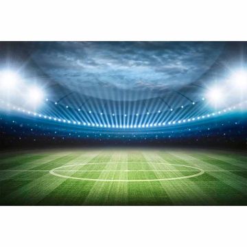 Digitaldruck-Tapete Stadium livingwalls (1034290)
