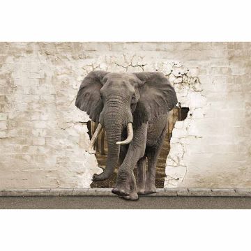 Digitaldruck-Tapete ElephantBreak livingwalls (1034303)