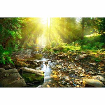 Digitaldruck-Tapete River livingwalls (1034321)