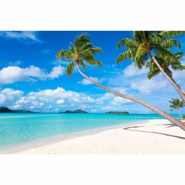Digitaldruck-Tapete Beach2 livingwalls (1034330)