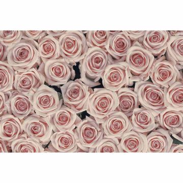 Digitaldruck-Tapete AntiqueRoses livingwalls (1034338)