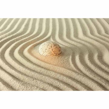 Digitaldruck-Tapete ShinyStoneonSa livingwalls (1034342)