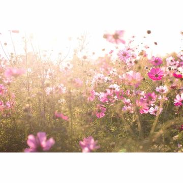 Digitaldruck-Tapete Flowers livingwalls (1034346)
