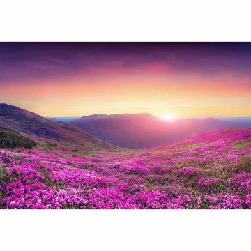 Digitaldruck-Tapete MoutainMeadow livingwalls (1034358)
