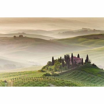 Digitaldruck-Tapete ToscanaMorning livingwalls (1034361)