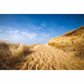 Digitaldruck-Tapete SyltBeach livingwalls (1034366)