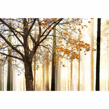 Digitaldruck-Tapete TreeDetail livingwalls (1034374)