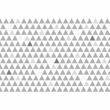 Digitaldruck-Tapete Pattern26 livingwalls (1034401)
