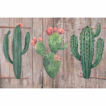 Digitaldruck-Tapete Cactus2 livingwalls (1034439)