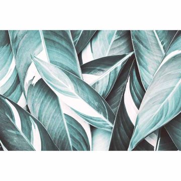 Digitaldruck-Tapete PamlsLeaf4 livingwalls (1034445)