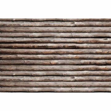 Digitaldruck-Tapete Blockhuette livingwalls (1034453)