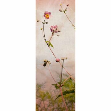 Digitaldruck-Tapete Romance livingwalls (1034508)