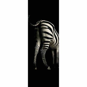 Digitaldruck-Tapete Zebra livingwalls (1034539)