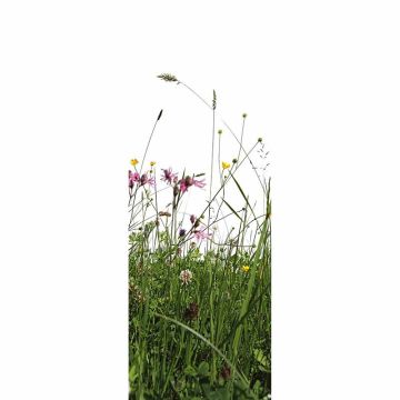 Digitaldruck-Tapete Grass livingwalls (1034541)