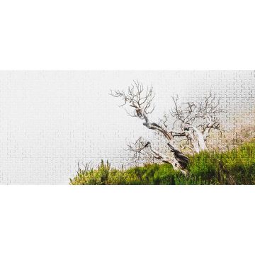 Digitaldruck-Tapete Death Tree Puzzle 1 Architects Paper (1031549)