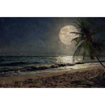 Digitaldruck-Tapete Beach at Night 1 Architects Paper (1031692)