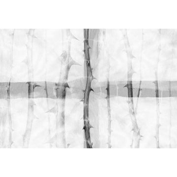 Digitaldruck-Tapete Thorn Art 3 Architects Paper (1031743)