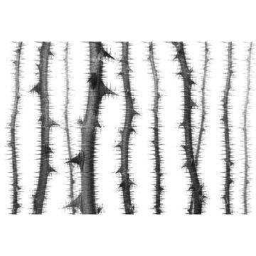 Digitaldruck-Tapete Blurred Thorns 2 Architects Paper (1031745)
