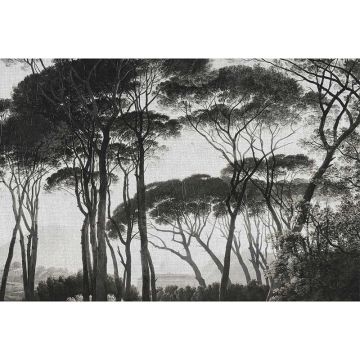 Digitaldruck-Tapete Treetops 1 Architects Paper (1031746)