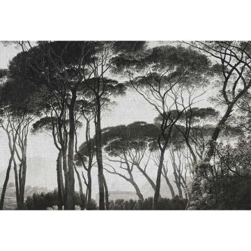 Digitaldruck-Tapete Treetops 1 Architects Paper (1031746)