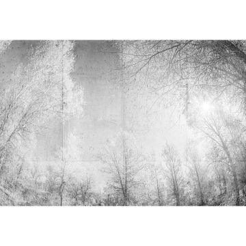 Digitaldruck-Tapete Forest Glade 1 Architects Paper (1031775)