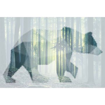 Digitaldruck-Tapete Bear Forest 1 Architects Paper (1031793)