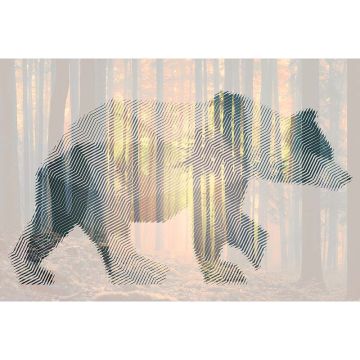 Digitaldruck-Tapete Bear Forest 2 Architects Paper (1031794)