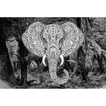 Digitaldruck-Tapete Elephant Head 1 Architects Paper (1031795)