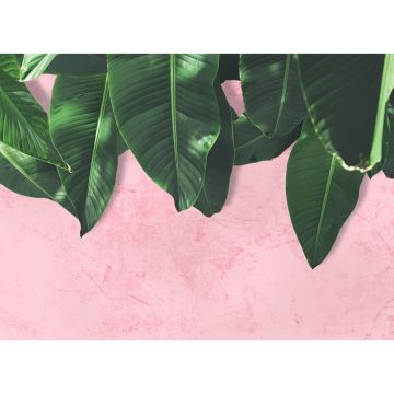 Digitaldruck-Tapete Leaves Wall 1 livingwalls (1031879)
