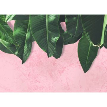 Digitaldruck-Tapete Leaves Wall 1 livingwalls (1031879)
