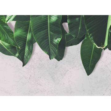 Digitaldruck-Tapete Leaves Wall 2 livingwalls (1031880)