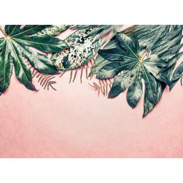 Digitaldruck-Tapete Leaves Variety 1 livingwalls (1031881)