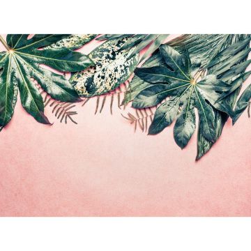 Digitaldruck-Tapete Leaves Variety 1 livingwalls (1031881)