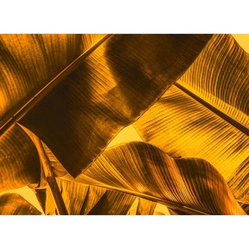 Digitaldruck-Tapete Broken Leaf 2 livingwalls (1031884)