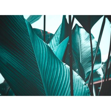 Digitaldruck-Tapete Leaf Stalks 2 livingwalls (1031886)