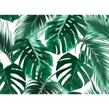 Digitaldruck-Tapete Palm Leaves 1 livingwalls (1031893)