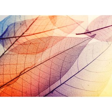 Digitaldruck-Tapete Limpid Leaf 1 livingwalls (1031900)