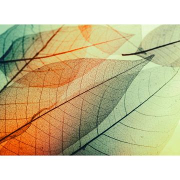 Digitaldruck-Tapete Limpid Leaf 2 livingwalls (1031901)