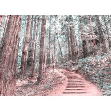Digitaldruck-Tapete Forest Walk 2 livingwalls (1031921)