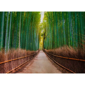 Digitaldruck-Tapete Bambus Walk livingwalls (1031922)