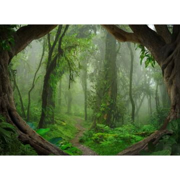 Digitaldruck-Tapete Tropical Forest livingwalls (1031923)