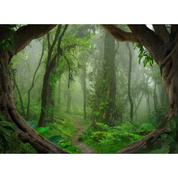 Digitaldruck-Tapete Tropical Forest livingwalls (1031923)