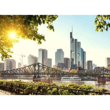 Digitaldruck-Tapete Frankfurt City livingwalls (1031952)