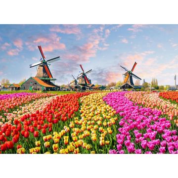 Digitaldruck-Tapete Zaanse Schans livingwalls (1031954)