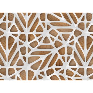 Digitaldruck-Tapete Organic Surface 1 livingwalls (1031964)